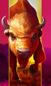 Big Wild Buffalo